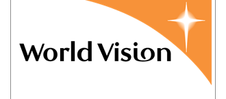 vision